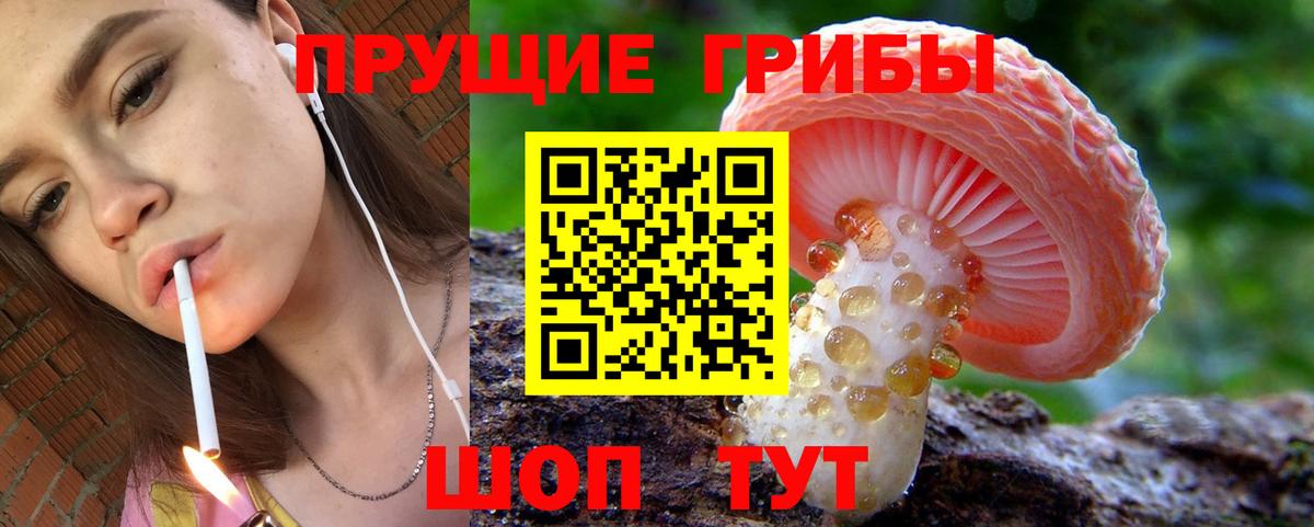 Галлюциногенные грибы GOLDEN TEACHER  Вход с VPN  Красноармейск  наркотики  Галлюциногенные грибы прущие грибы 